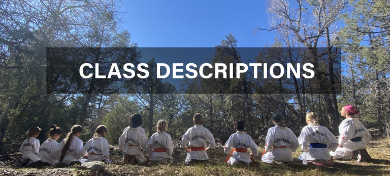 sabaki method karate in the inner circle sabaki method karate in the inner circle