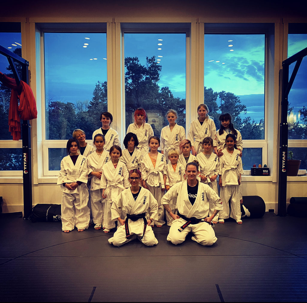 Class Descriptions - Enshin Karate Crestone