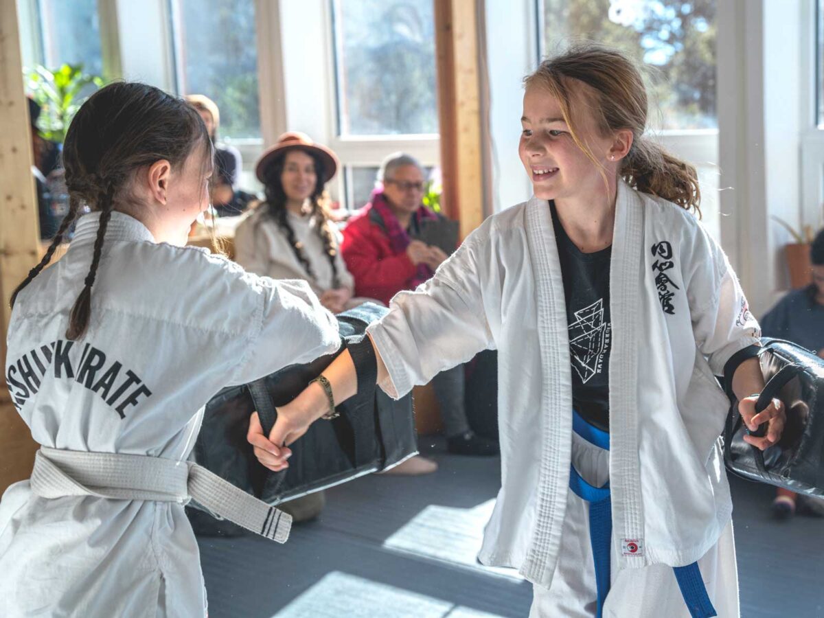 Beginner Karate Classes - Enshin Karate Crestone